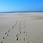Διαμέρισμα In Near The Nieuwpoort