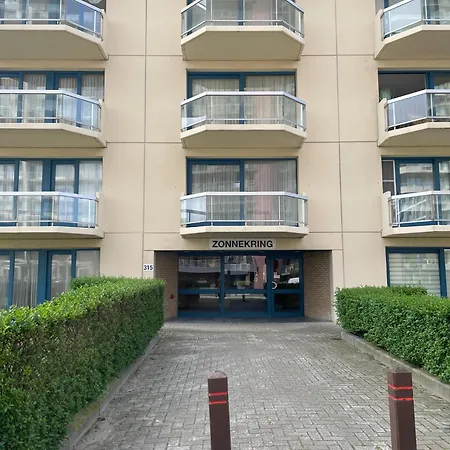 In Near The شقة *