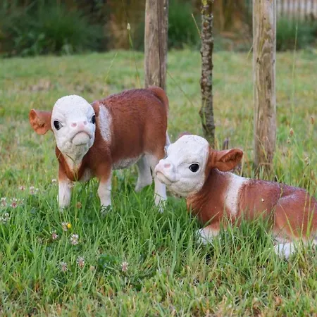 In Near The شقة نيوبورت