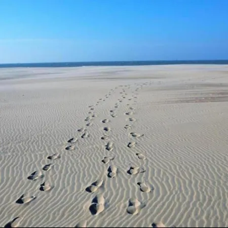 شقة In Near The نيوبورت