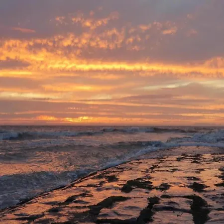 In Near The * نيوبورت