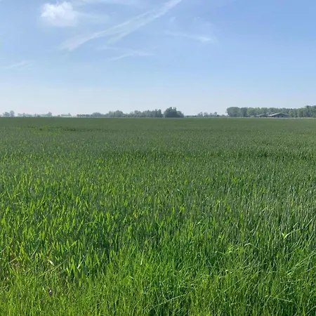 شقة In Near The نيوبورت