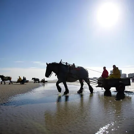 شقة In Near The نيوبورت