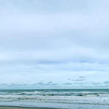 In Near The شقة *