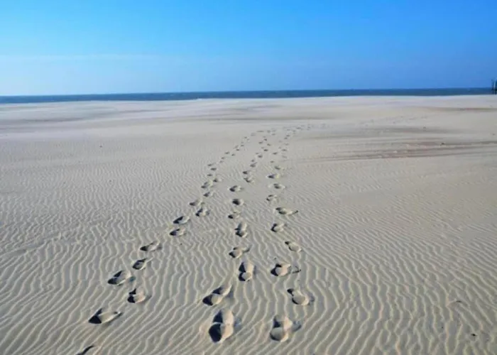 Апартаменты In Near The Ньивпорт