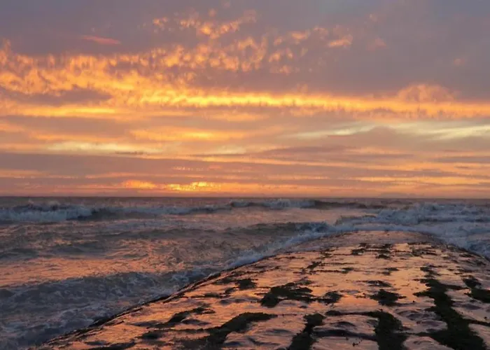 In Near The * Ньивпорт