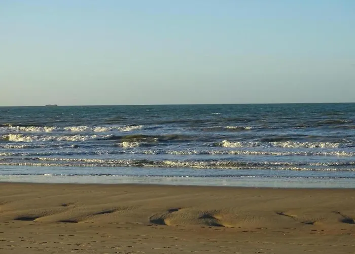 In Near The Ньивпорт