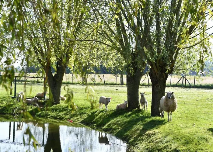 In Near The Апартаменты Ньивпорт